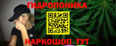 молекула духа Аша