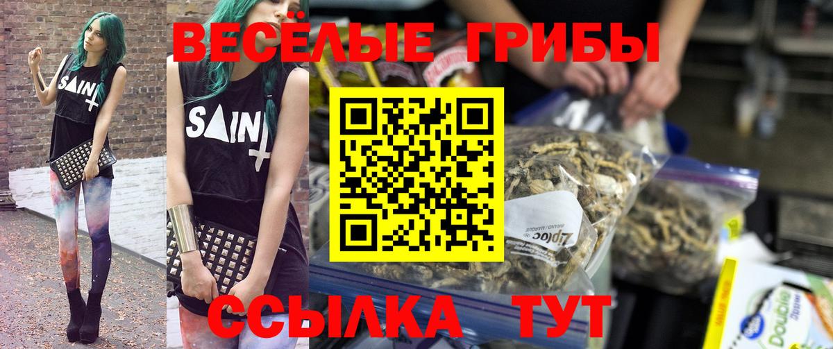 Галлюциногенные грибы мухоморы Каменск-Уральский