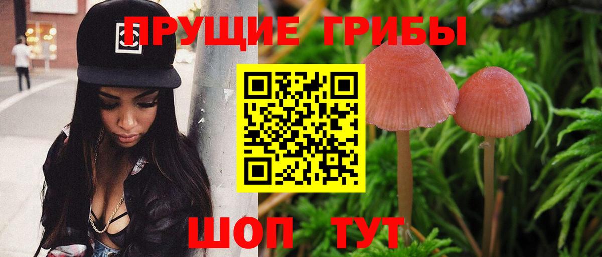 Каменск-Уральский  Галлюциногенные грибы ЛСД  Вход с VPN 
